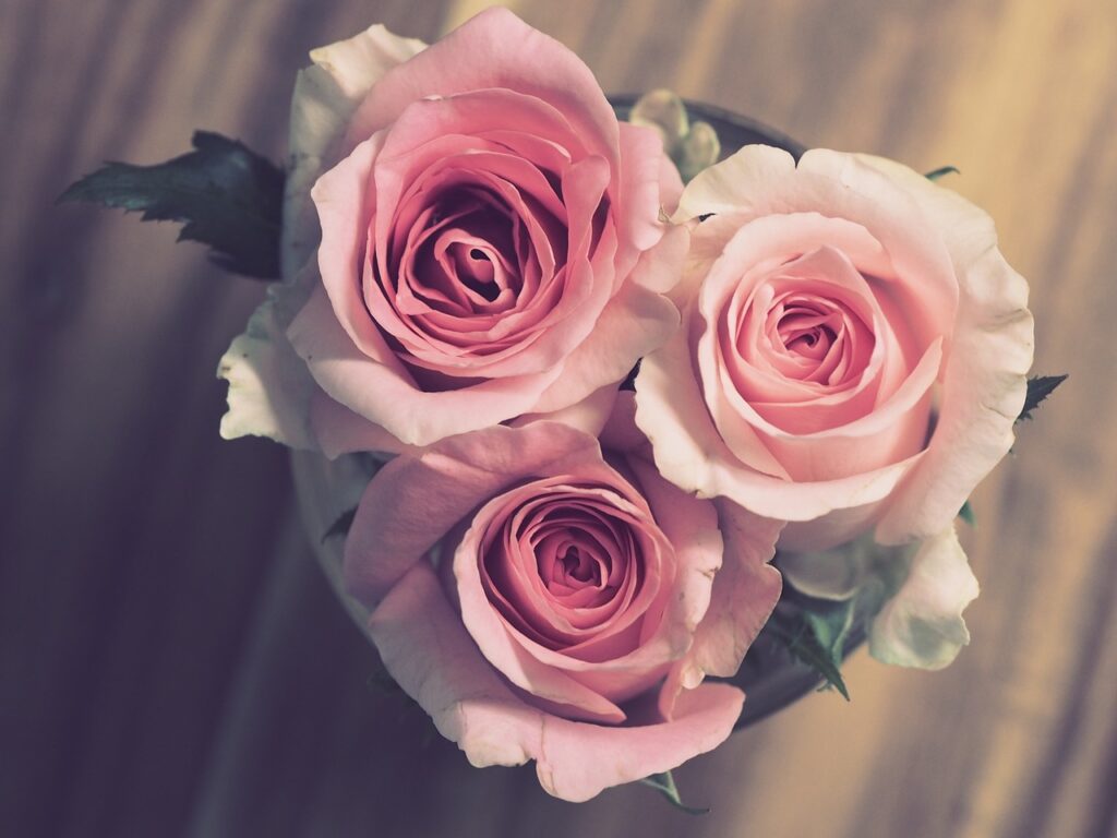 offrir des fleurs sans raison apparente
